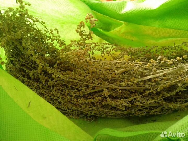 Веник для бани травяно/Полынь цитварная