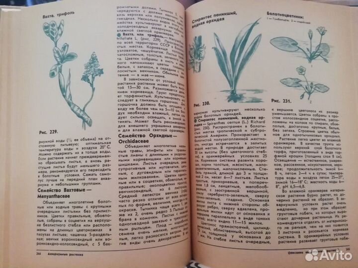 Аквариумные растения Жданов