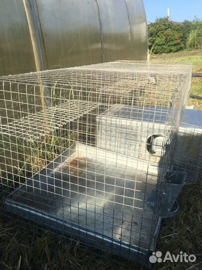 Клетка для грызунов