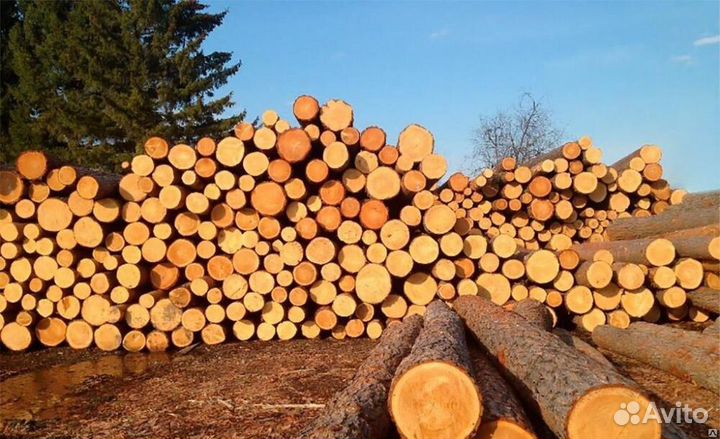 Продам пиловочник