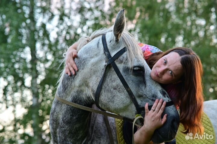 Конные прогулка и фотосесия