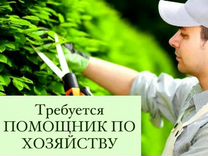 Помощник по хозяйству вахта+проживание+питание