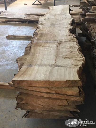 Слэб Тополь Карагач