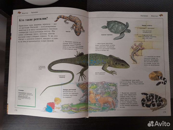 Большая энциклопедия для школьника