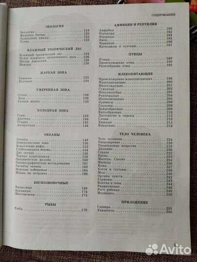 Энциклопедия для детей