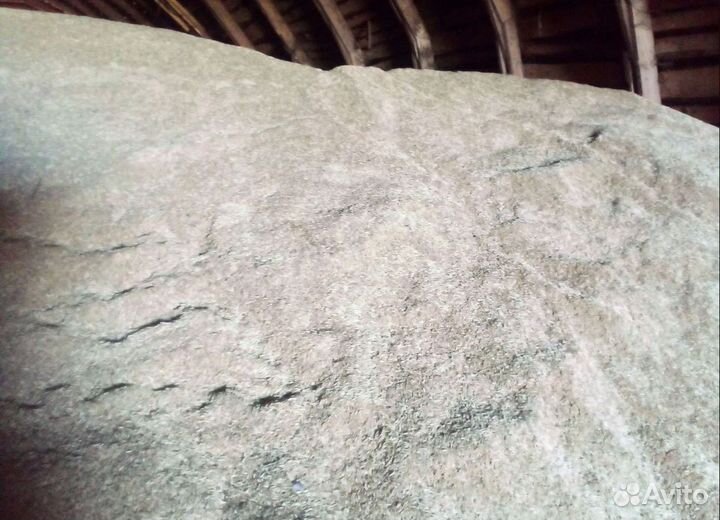 Кормовой горох, Горох на корм/посев