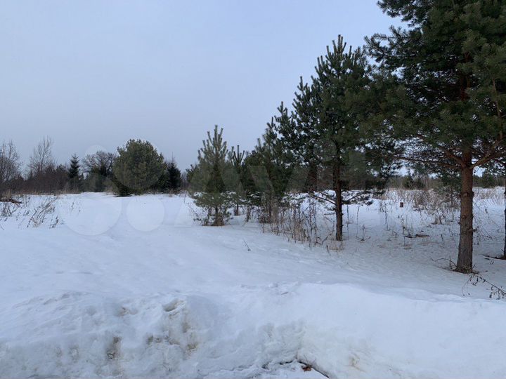 Участок 17 га (СНТ, ДНП)