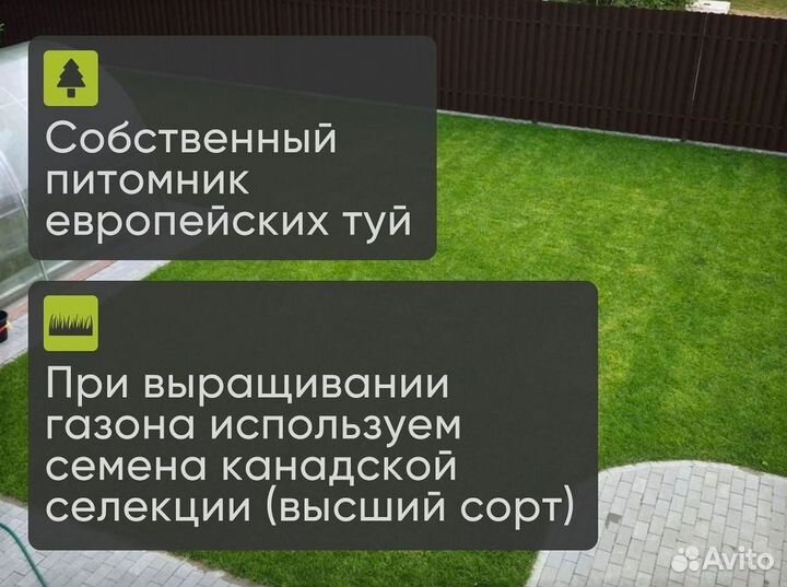 Газон в рулонах для плодородной почвы