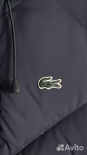 Пуховик lacoste оригинал