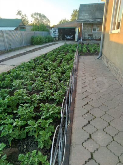 Дом 62 м² на участке 7 сот.