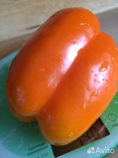 Рассада перцев вкусные сладкие толстостенные