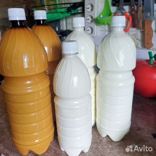 Молоко козье, кефир,творог и сыр оптом и в розницу