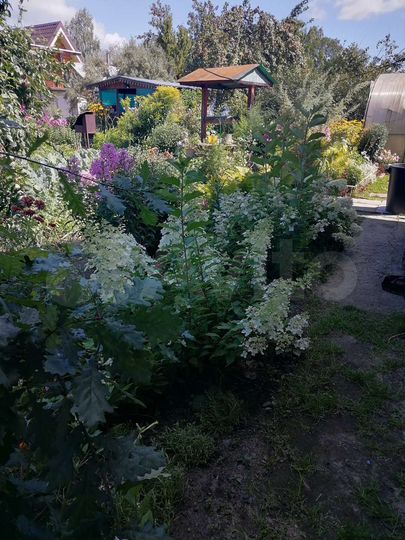 Дача 50 м² на участке 6 сот.