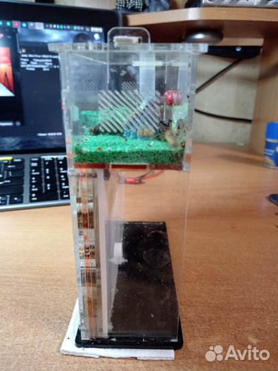 Муравьиная ферма