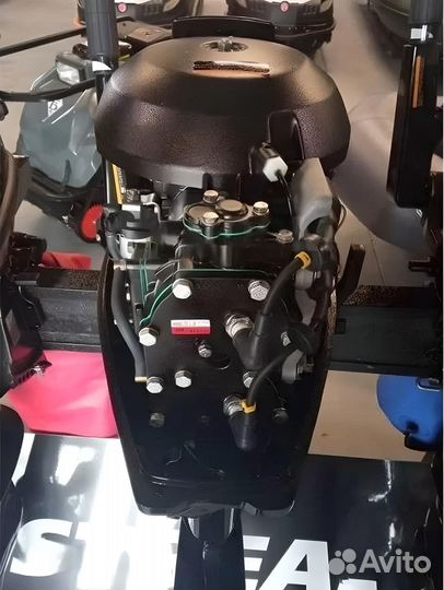 Лодочный мотор golfstream Т 30 FWS Витрина