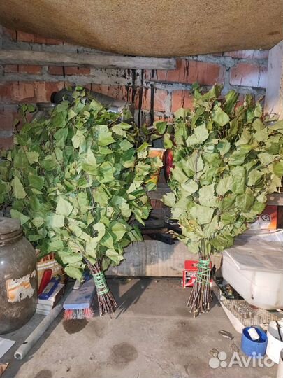 Березовые веники