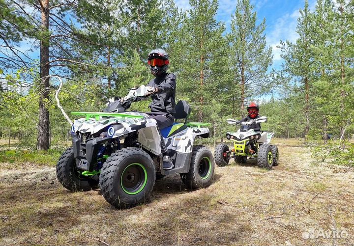 Квадроцикл promax forest hunter 300