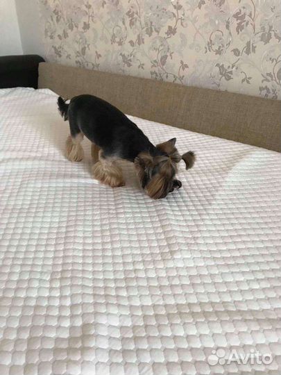 Непромокаемая ткань для многоразовых пеленок