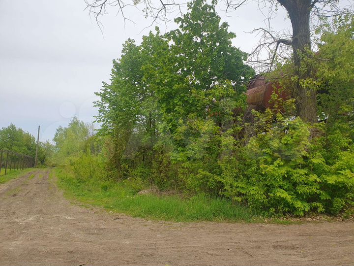 Участок 7 сот. (ИЖС)