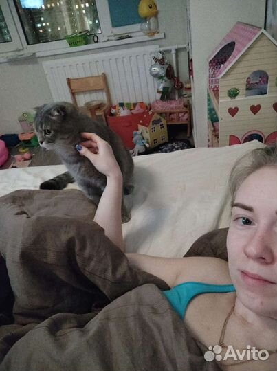 Передержка зооняня, передержка грызунов и птиц