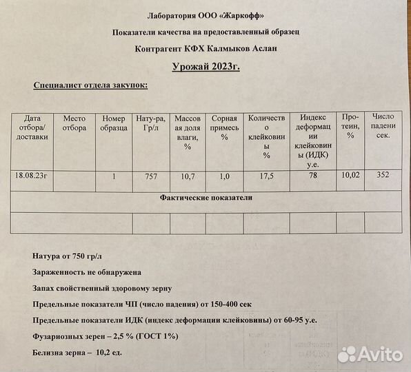 Пшеница 4 класс