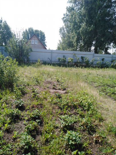 Участок 12 сот. (СНТ, ДНП)