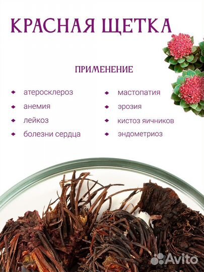 Красная щётка корень, вытяжка