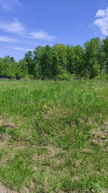 Участок 20 сот. (ИЖС)