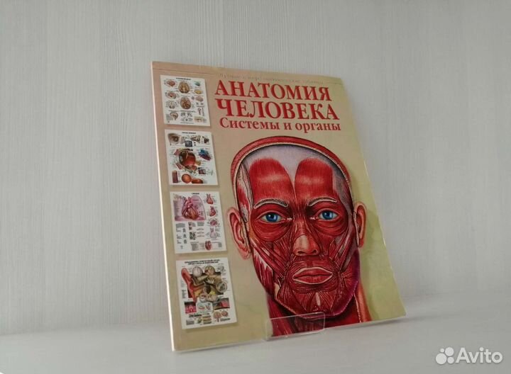 Анатомия человека. Системы и органы