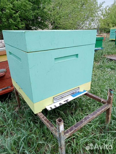 Улья ппу дадан 12 рамочные