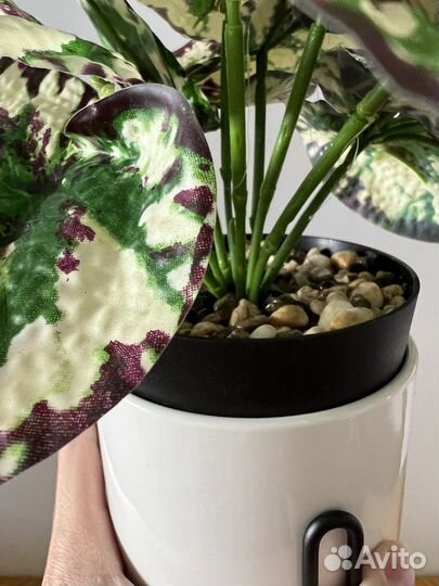 Искусственное растение в кашпо