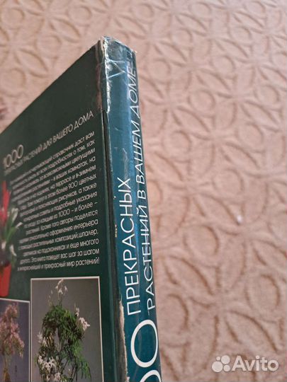 Справочник по уходу за комнатными цветами