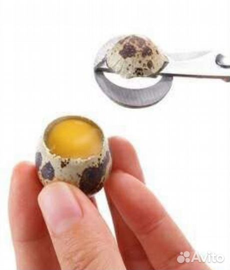 Яйца перепелиные домашние