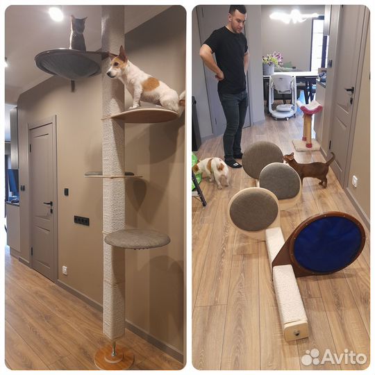 Когтеточка, когтедерка, комплекс, домик