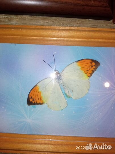 Вышивка крестом в рамке готовые. Новые наборы