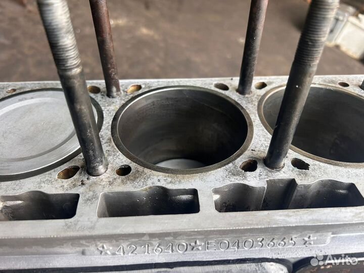 Блок всборе умз 421640 евро 4(шорт блок)