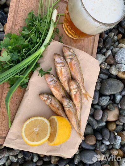 Барабуля копченая