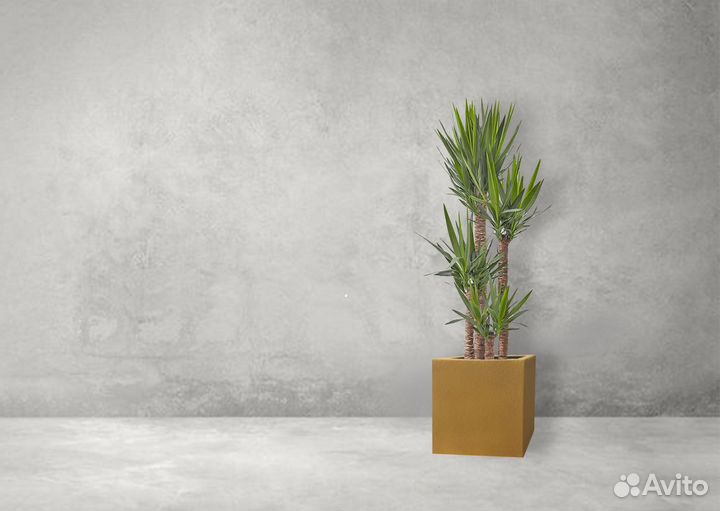 Кашпо для растений куб