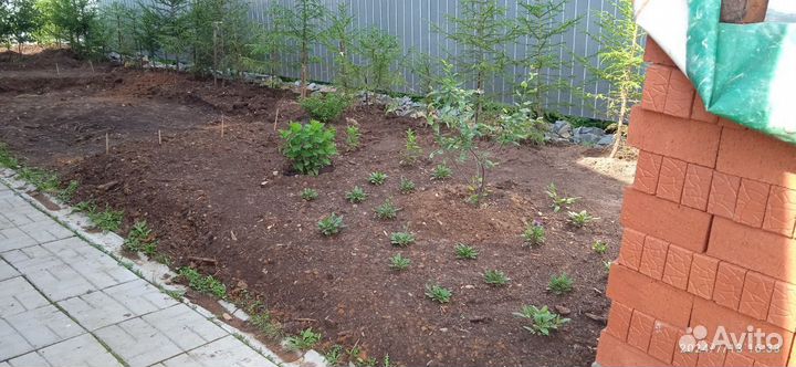 Услуги садовника свердловская область