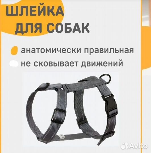 Шлейка для собаки