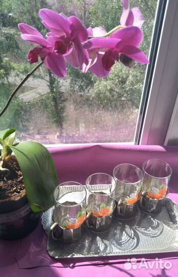 Подстаканники и стаканы. Винтаж СССР