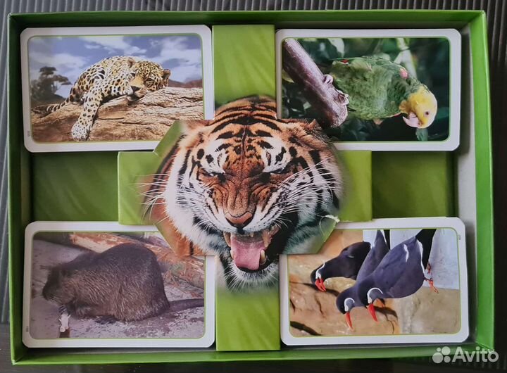 Настольная игра Дикие животные мира