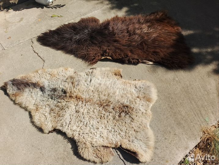 Овечья шкура натуральная