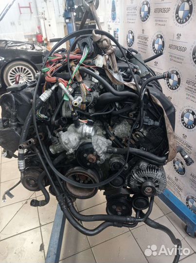 Двигатель (двс) N62B44 на BMW
