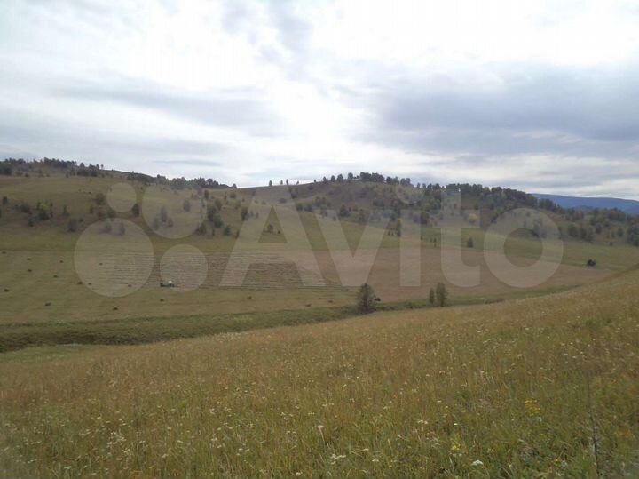 Участок 24 га (СНТ, ДНП)