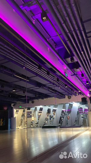 Зебра абонемент в зал (1 год)