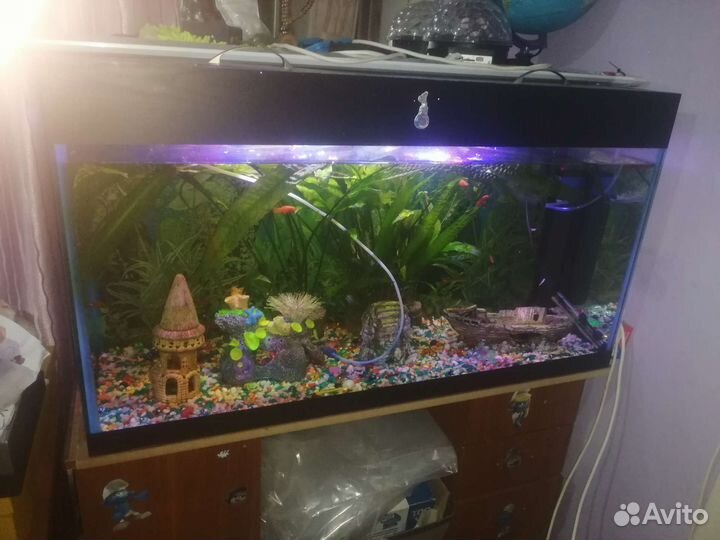 Аквариум