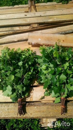 Веники березовые