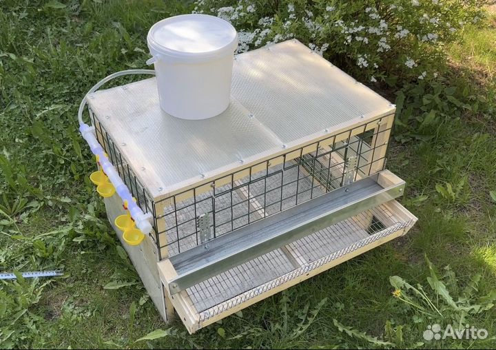 Клетки для перепелов