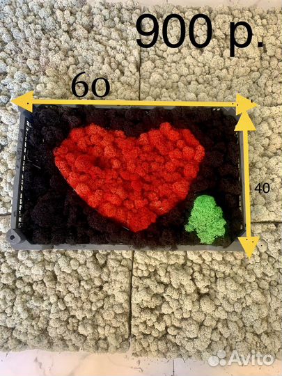 Мох живой стабилизированный ягель